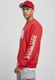 Southpole 3D Crewneck SP red