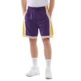 Mitchell &amp; Ness shorts Los Angeles Lakers purple/yellow Swingman Shorts 